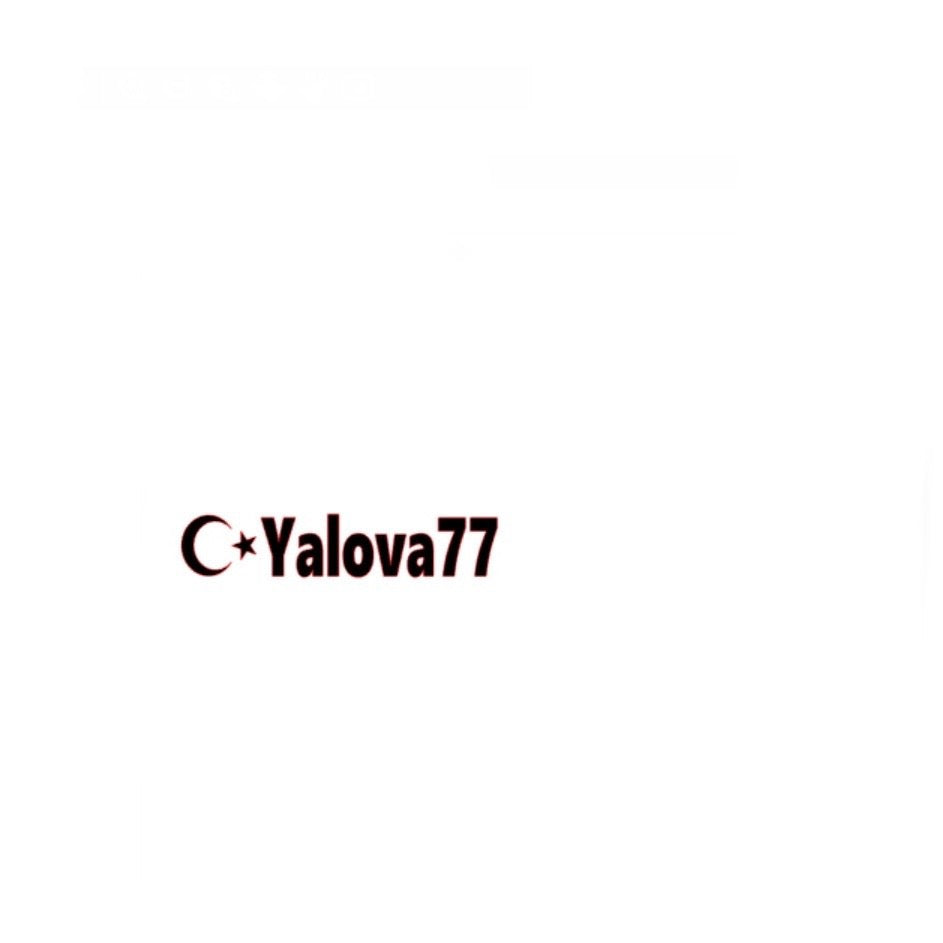 YALOVA 77 - carstickz