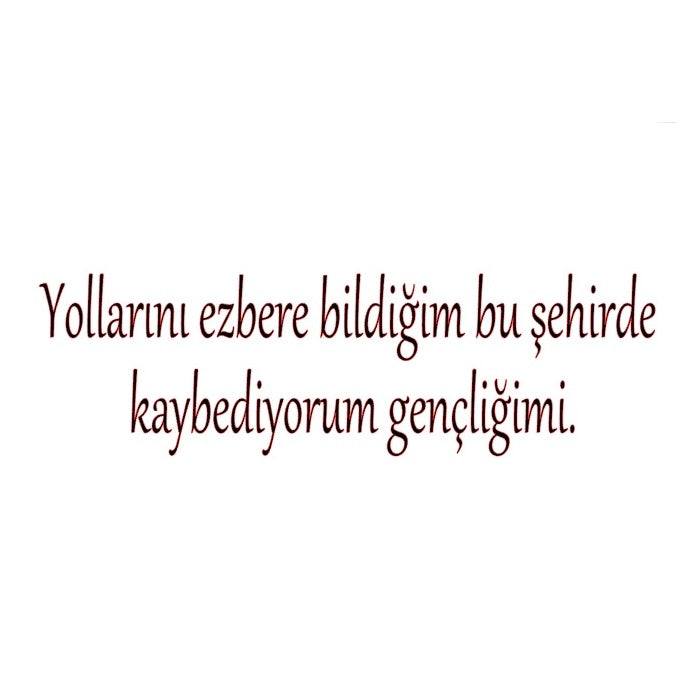 YOLLARINI EZBERE BILDIGIM BU SEHIRDE KAYBEDIYORUM GENCLIGMI (4cmx28cm) - carstickz