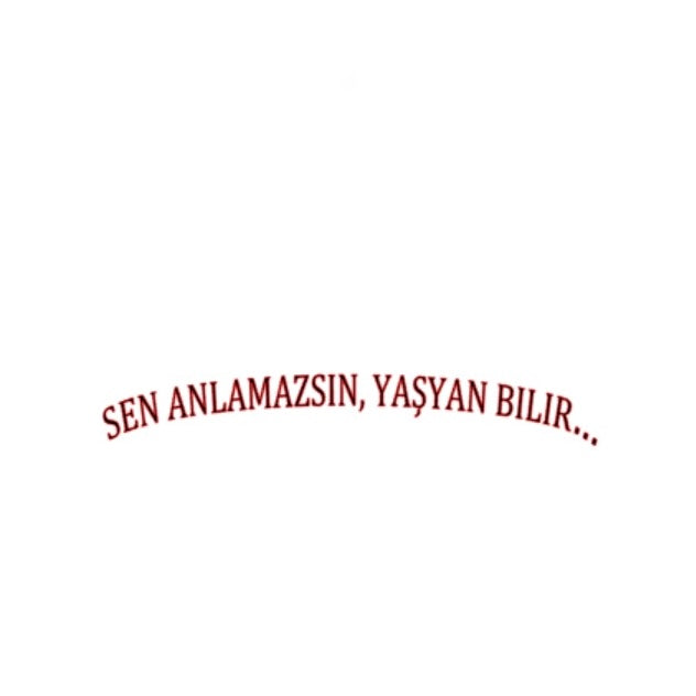 SEN ANLAMAZSIN, YASYAN BILIR (3cmx27cm) - carstickz