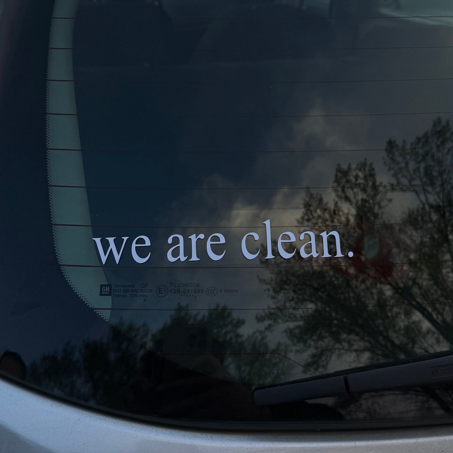 WE ARE CLEAN (3cmx17cm) - carstickz