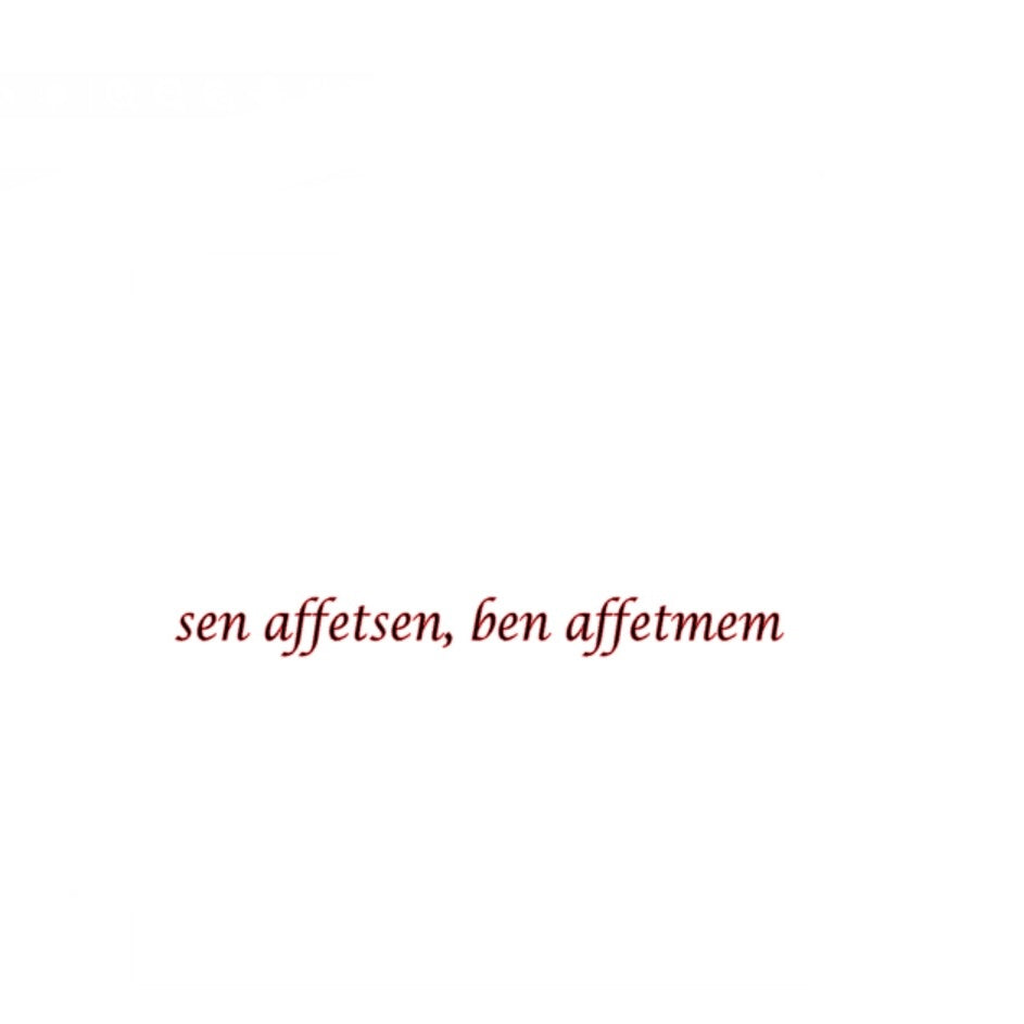 SEN AFFETSEN, BEN AFFETMEM (2cmx27cm) - carstickz
