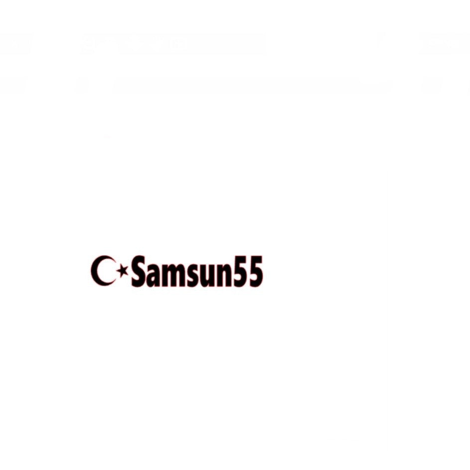 SAMSUN 55 - carstickz