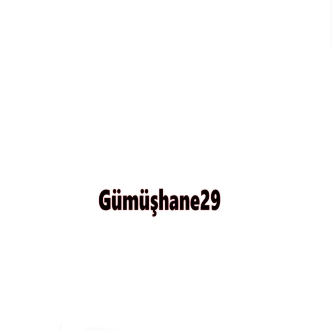GÜMÜSHANE 29 - carstickz