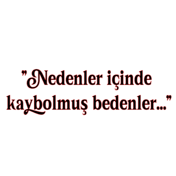 NEDENLER ICINDE KAYBOLMUS BEDENLER... (4cmx27cm) - carstickz