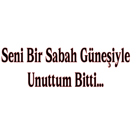 SENI BIR SABAH GÜNESIYLE UNUTTUM BITTI… (4cmx27cm) - carstickz