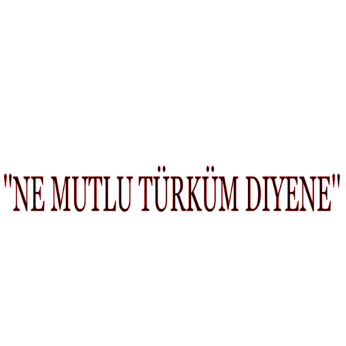 NE MUTLU TÜRKÜM DIYENE (3cmx30cm) - carstickz