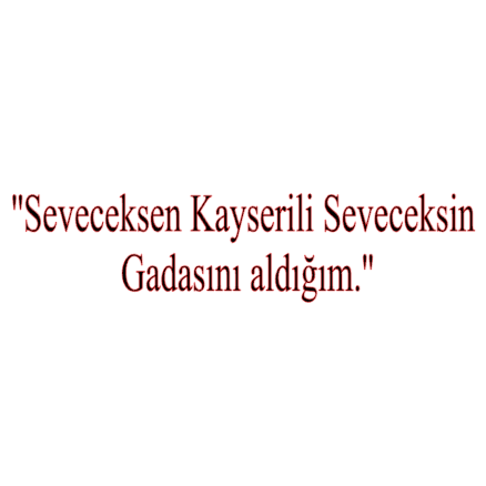 SEVECEKSEN KAYSERILI SEVECEKSIN GADASINI ALDIGIM (5cmx30cm) - carstickz