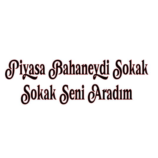 PIYASA BAHANEYDI SOKAK SOKAK SENI ARADIM (4cmx27cm) - carstickz