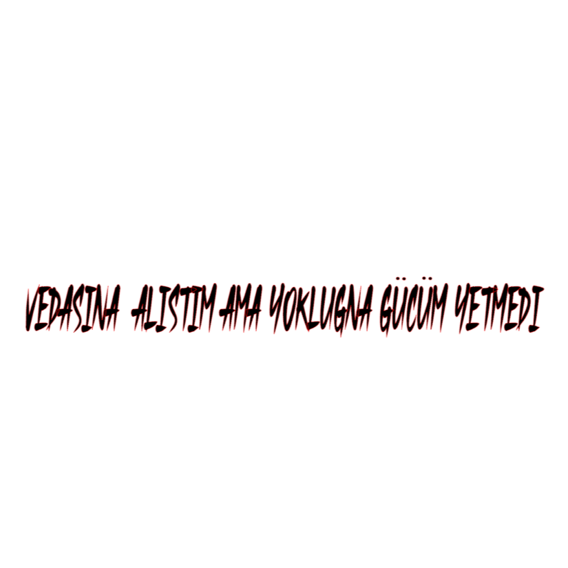 VEDASINA ALISTIM AMA YOKLUGNA GÜCÜM YETMEDI (2cmx27cm) - carstickz