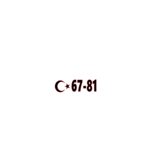 (67-81) STICKER 3x7cm - carstickz