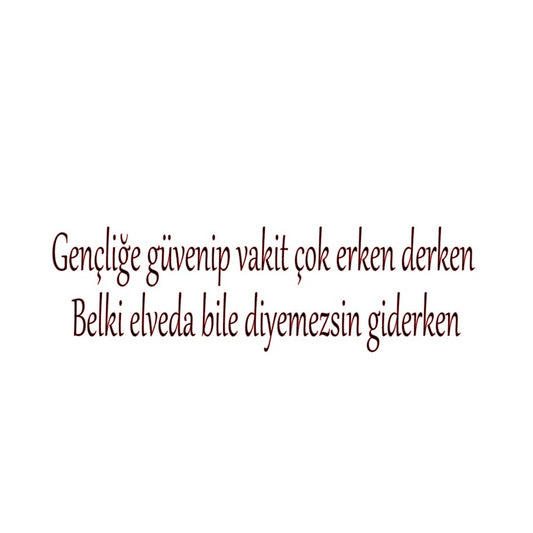 GENCLIGE GÜVENIP VAKIT COK ERKEN DERKEN BELKI ELVEDA BILE DIYEMEZSIN GIDERKEN (4cmx27cm) - carstickz