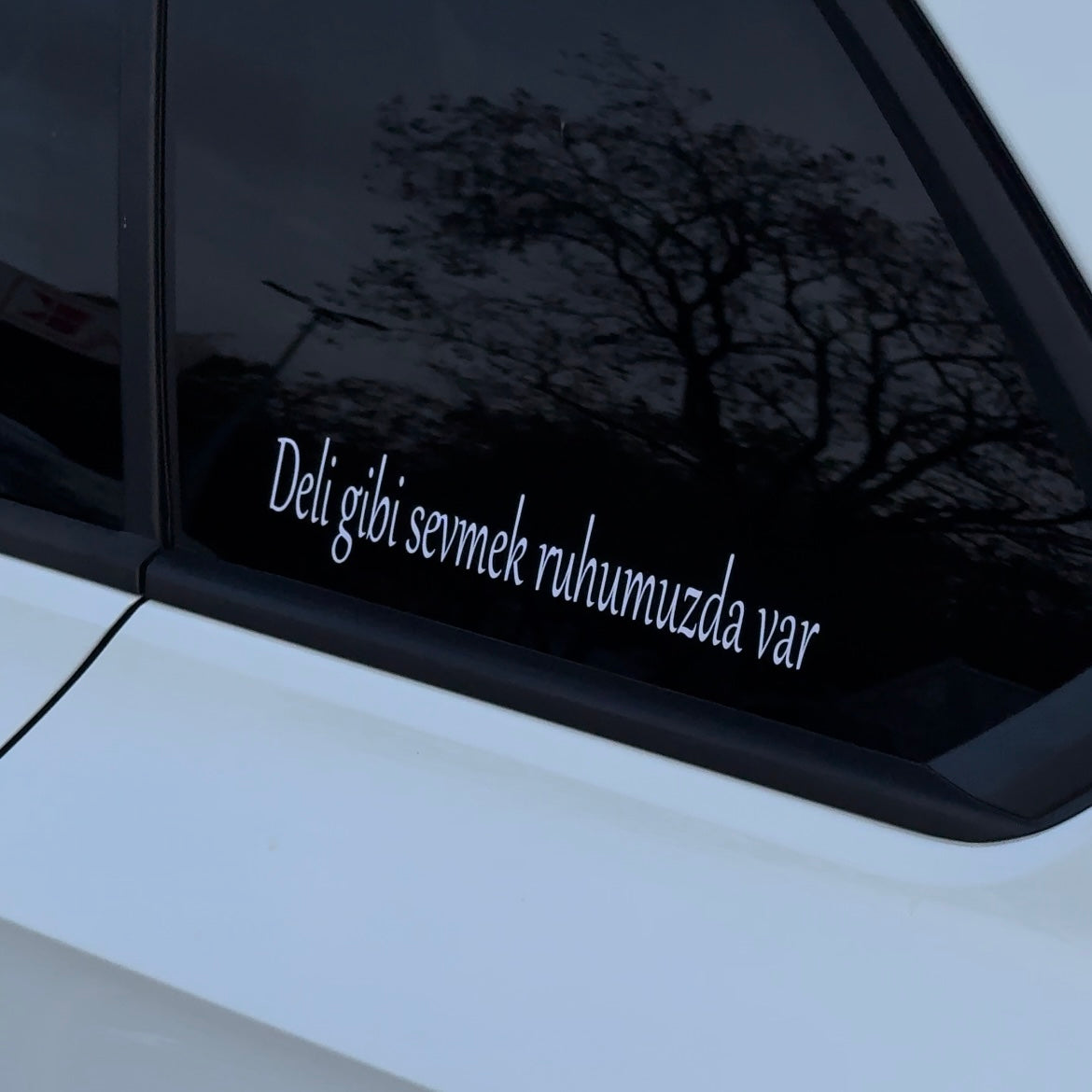 DELI GIBI SEVMEK RUHUMUZDA VAR (3cmx17cm) - carstickz