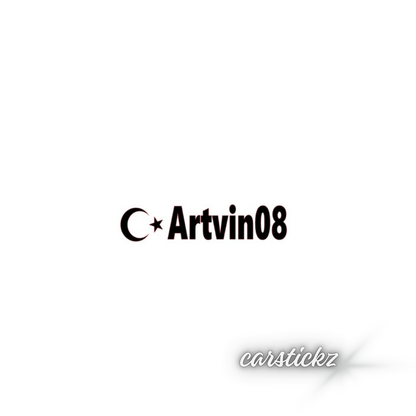 ARTVIN 08 - carstickz