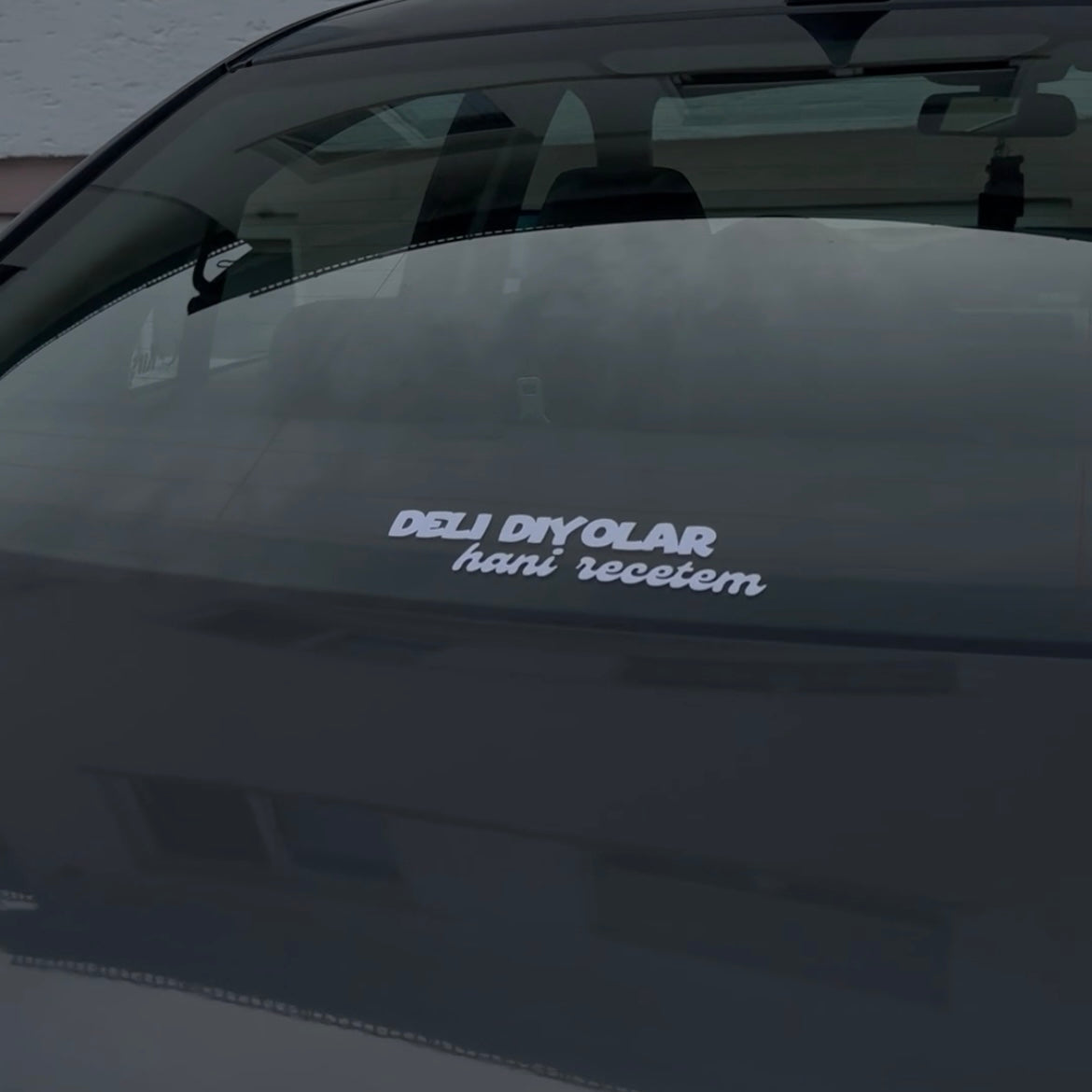 DELI DIYOLAR HANI RECETEM (3cmx25cm) - carstickz