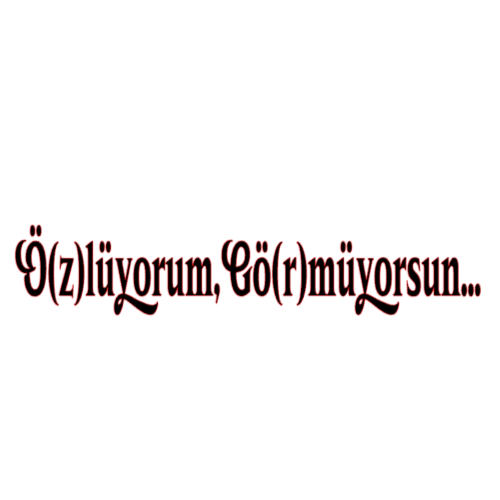 Ö(Z)LÜYORUM, GÖ(R)MÜYORSUN (3cmx17cm) - carstickz