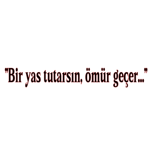 BIR YAS TUTARSIN, ÖMÜR GECER... (3cmx30cm) - carstickz