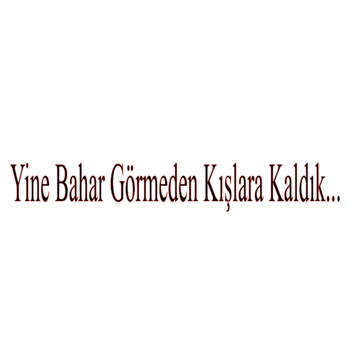YINE BAHAR GELMEDEN KISLARA KALDIK... (3cmx30cm) - carstickz