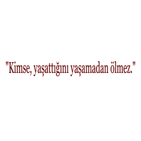 KIMSE YASATTIGNI YASAMADAN ÖLMEZ (3cmx30cm) - carstickz